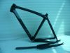 Carbon MTB frame