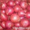 Onion, Indian Onion, ....