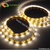 led flexible strips dc 12v white