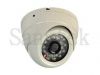 Plastic IR Dome CCTV Camera (ST-224)