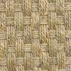 Seagrass carpet