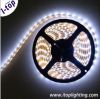 DC 12V SMD3528 waterproof flexible led strip lighting