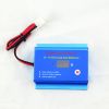 12V 24V 36V 48V 60V 72V battery rejuvenator