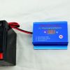 12V 24V 36V 48V 60V 72V battery rejuvenator