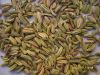 fennel seeds, cummin seeds, spice, spics, cooking spice,