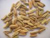 fennel seeds, cummin seeds, spice, spics, cooking spice,