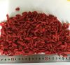 Dried goji berry