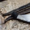 Vanilla Beans From Pap...
