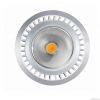 10W LED Par30