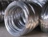 galvanized iron wire(f...