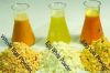 Egg powder
