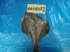 Yellow Fin Sole (Liman...