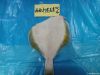 Yellow Fin Sole (Liman...