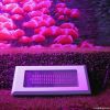 120w led grow light