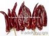 Jinta dry red chilli