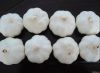 Pure White Garlic