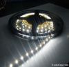 Non-waterproof Flexible SMD3528  LED strip, 60LED/m