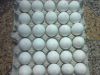 Fresh white shell Eggs