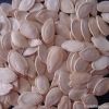 Shine Skin Pumpkin Seeds