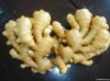 frozen ginger dices (IQF ginger dices)