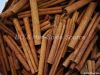 cassia stick