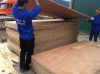 Plywood For Construction