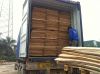 Short Core Veneer Plyw...