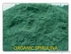 spirulina