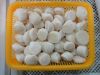 IQF Sea Scallop Adduct...