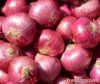 Red Onions