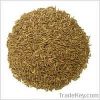 caraway seeds