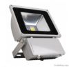 High Intensity LED Floodlight (100W)