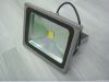 Led Flood Light (30W)