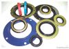 oil seal, valve stem seal