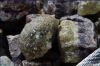 Fluorspar lumps ore, C...