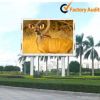 High Brightniess P10 Outdoor Full Color LED Advertising Display