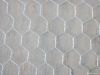 Hexagonal wire mesh