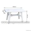 Plastic Mold (Plastic Table Mould)