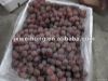 Fresh red grape fruit