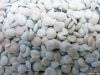 LDPE Repro Pellet 