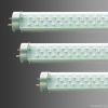 LED Tube Lamp (T8)