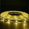 LED Strip Lights (SMD | Flexilbe)