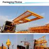 QTZ5010 crane mobile 5 ton small crane in Algeria