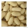 Raw and blanched peanuts