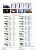 Higher quality LED Lights