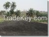 Charcoal Fines