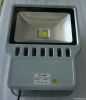 LED Projector Lamp 100W (Flood Light)