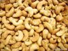 Raw Cashew Nuts & ...