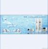 whitening Moisturizing Balancing Emulsion