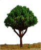 architectural model tree